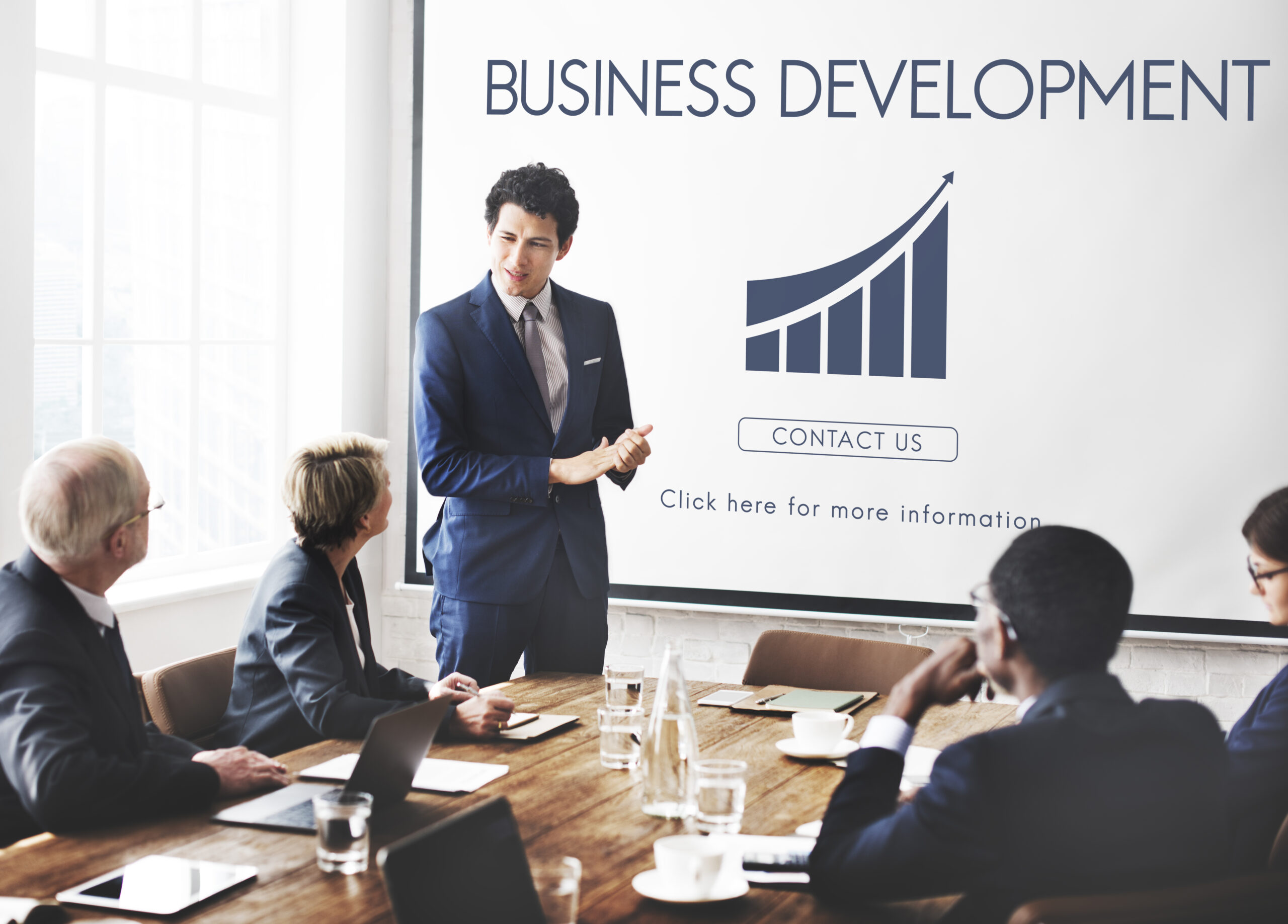 Business Development Professional program